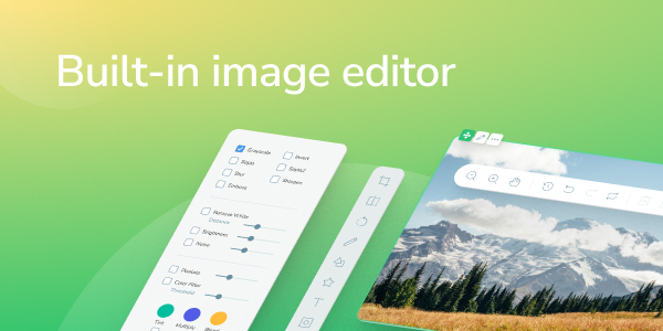 Built-in image editor