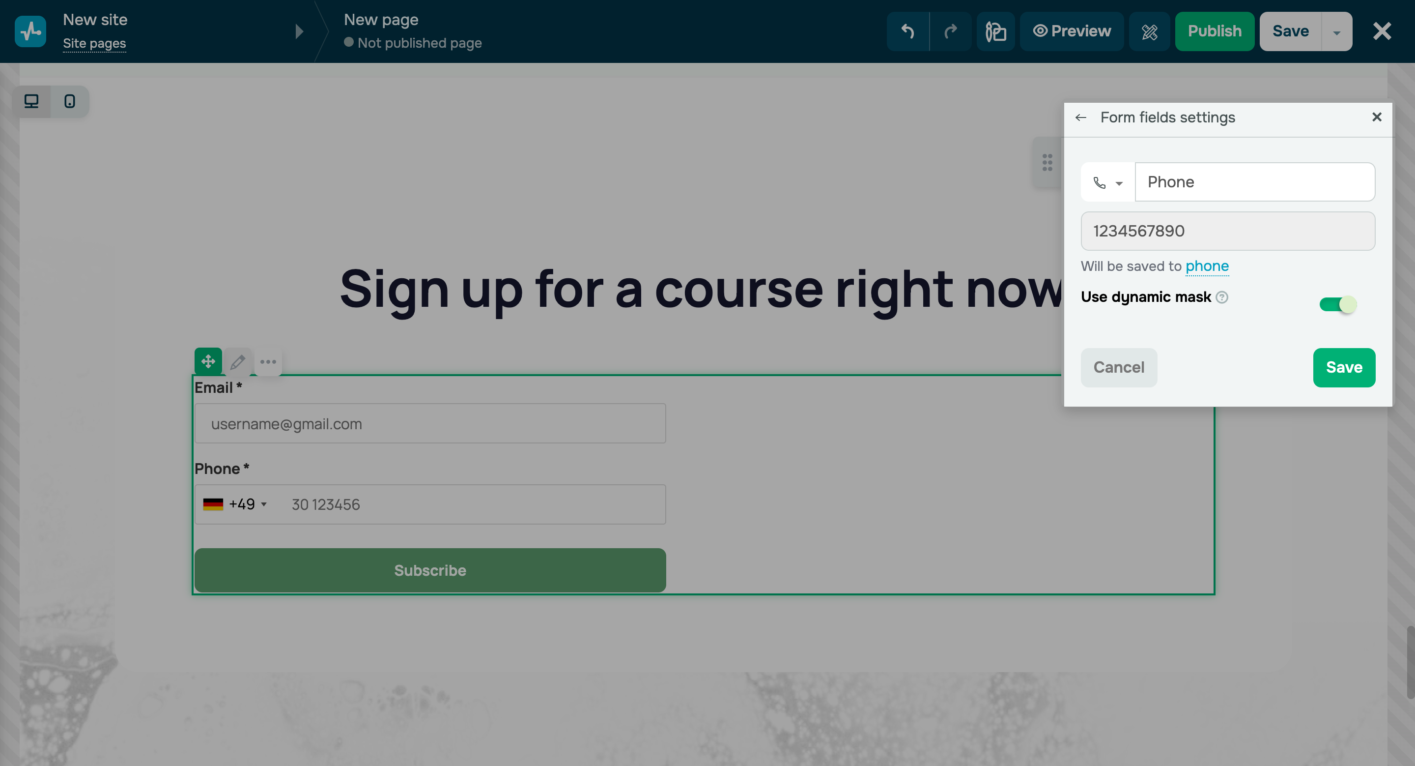 Dynamic phone number mask
